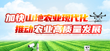 加快山地农业现代化 推动农业高质量发展