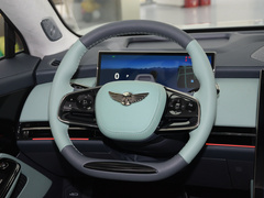 2023款 700km 后驱尊贵版