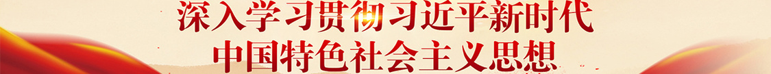 深入学习贯彻习近平新时代中国特色社会主义思想
