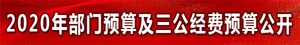 2019年部门预算及三公经费预算公开
