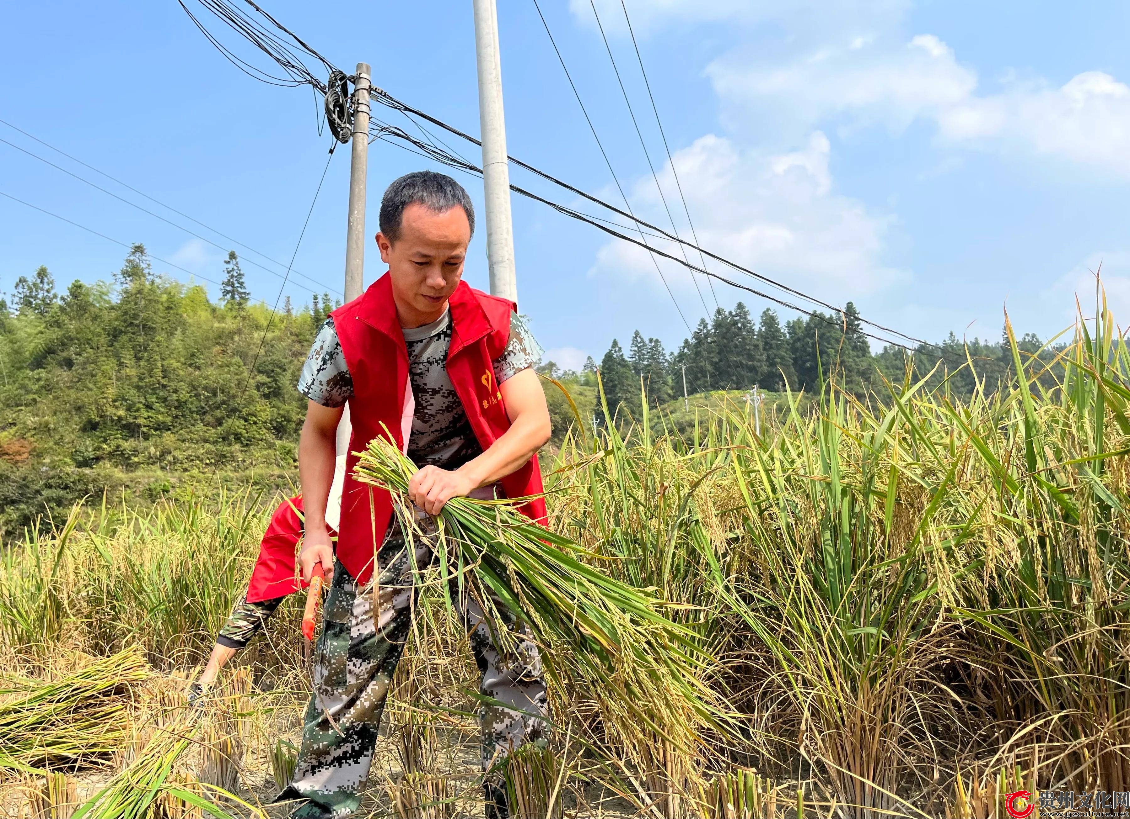 扎根侗寨七春秋 丹心筑梦绘新篇——记黎平县茅贡镇腊洞村第一书记朱法庭