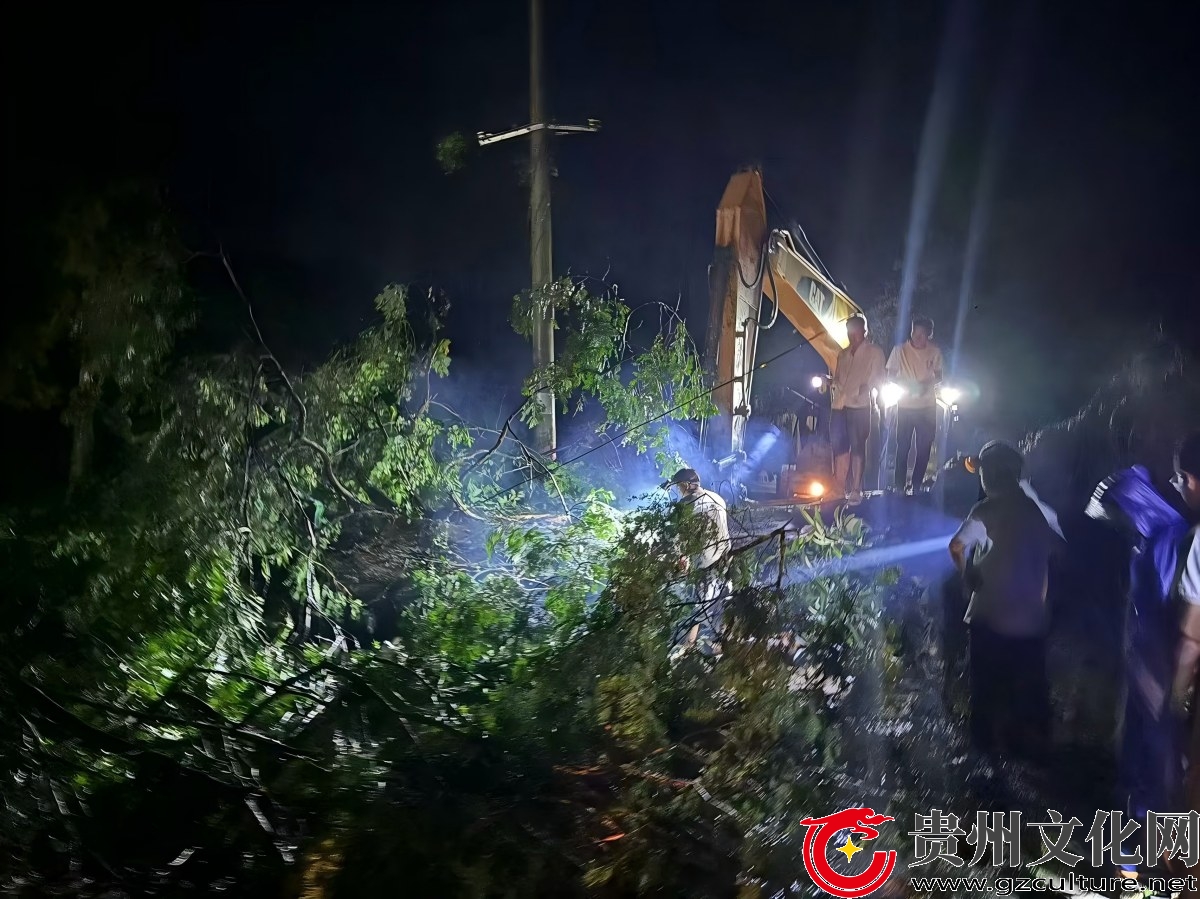 孟彦镇宰西村：清障除患齐发力 畅通道路护民生