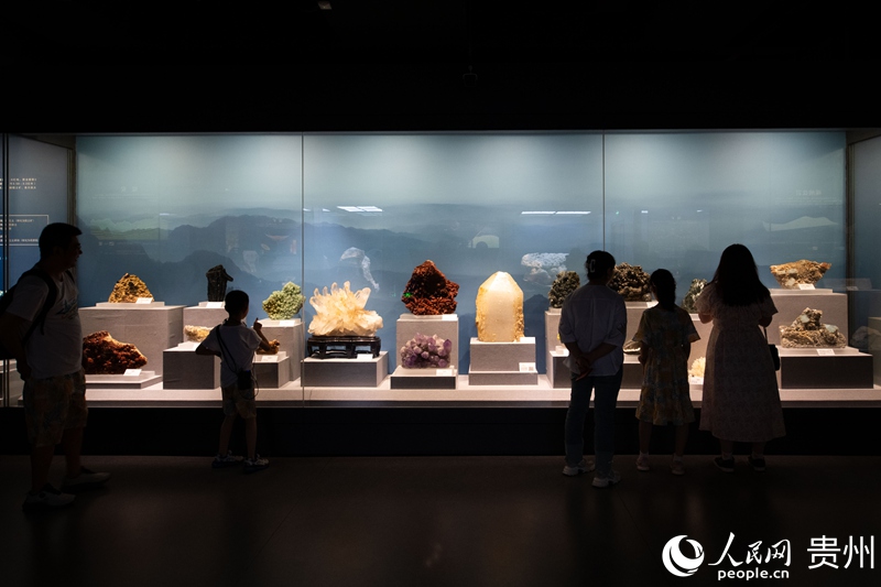 活力贵州丨地博“顶流”养成记