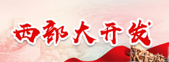 西部大开发