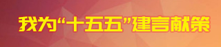我为“十五五”建言献策