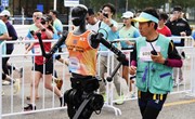 为了让机器人跑起来，人类用了60年