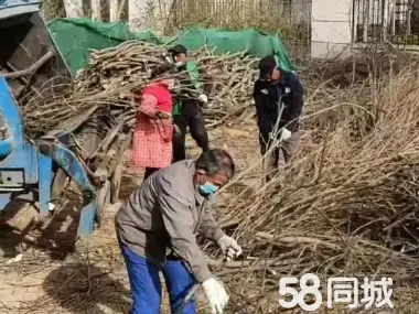 店主头像